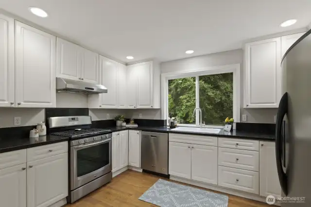 Chef's kitchen with lots of light!