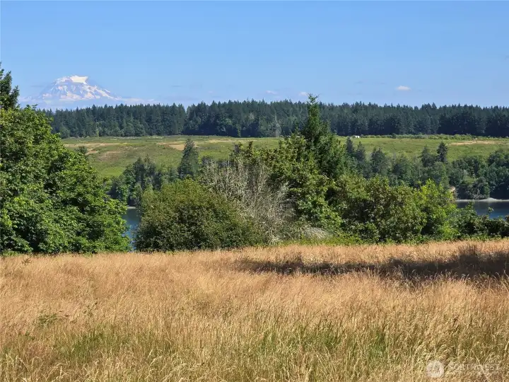 Building site looking across Pitts Passage to Mc Neil Island.  Mt. Rainier in background
