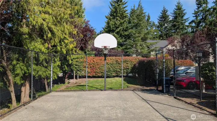 Coimmunity Sports Court