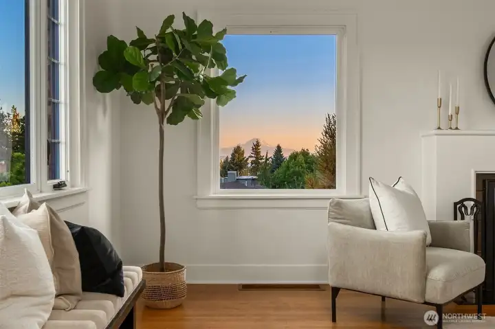 Stunning views of Mt. Rainier