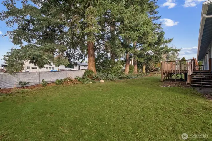 Another photo of the yard further towards the house looking back towards the deck.