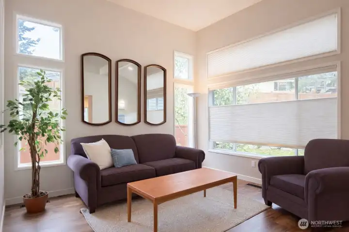 Light and bright living room.