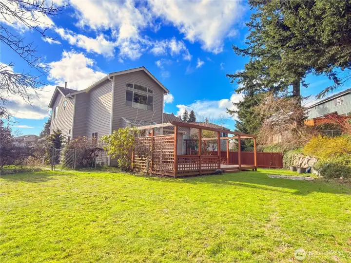 Mature trees and bushes.