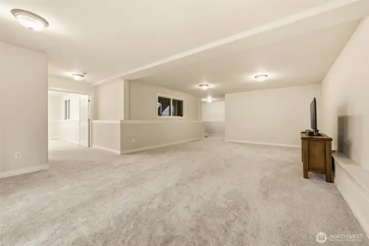 Basement family room