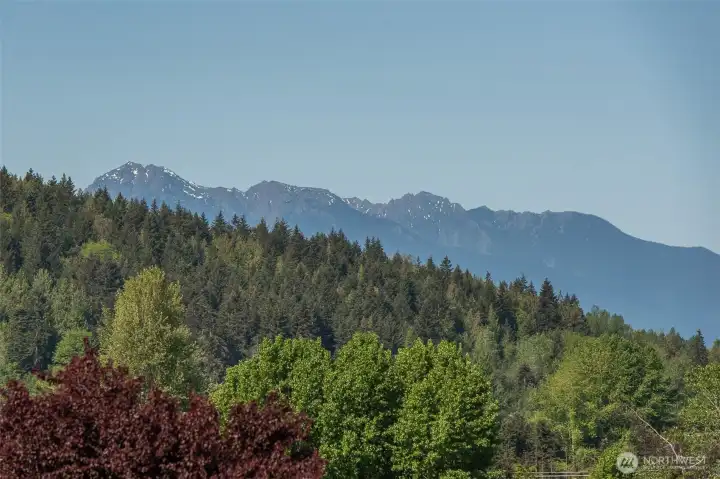 SW Olympic Mt partial views!