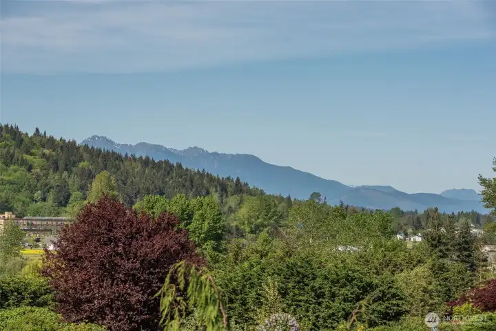 SW - Olympic Mt Views