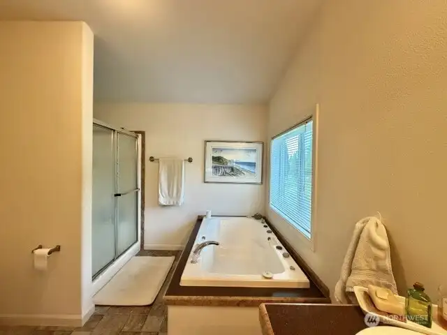 soaking tub and large shower room also features a walk in closet