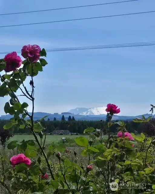 This is an everyday view from your covered deck in the spring