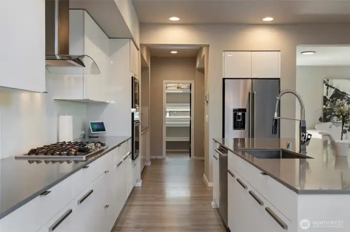 Kitchen with large walk-in pantry