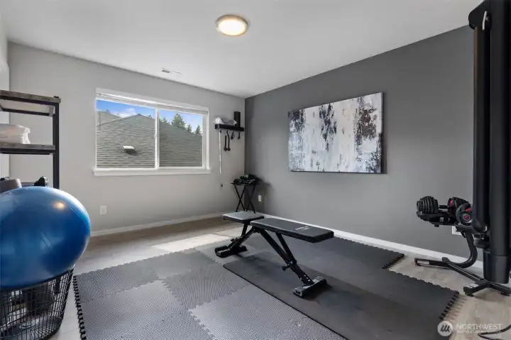 Additional bedroom with walk-in closet