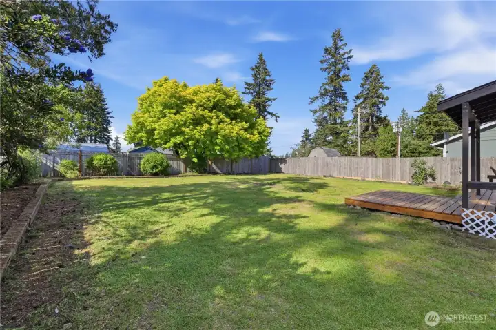 Spacious backyard