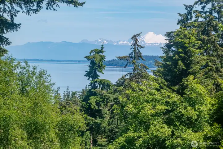 Views form first primary bedroom north-east facing windows with views of Mt Baker and Saratoga Passage.