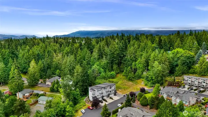 Backs up to trees/green space for privacy Backs up to trees/green space for privacy