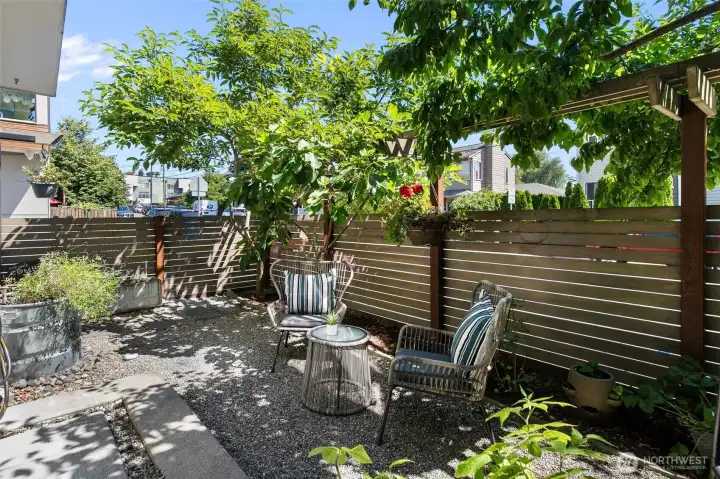 Fully Fenced Garden Fully Fenced Garden