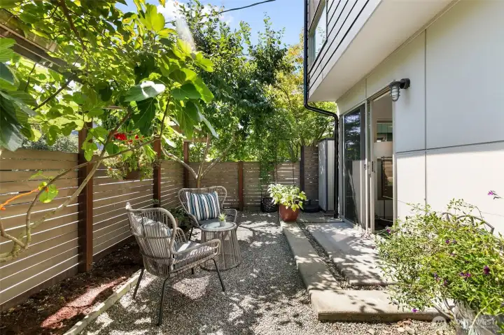 Private Garden with Fruit Trees: Persimmon, Plum and Fig Private Garden with Fruit Trees: Persimmon, Plum and Fig