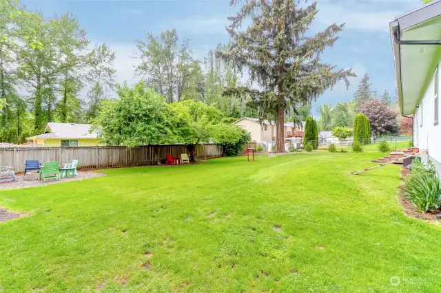 This large fully fenced yard has so much room for pets and little ones to play.