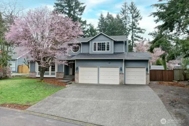 3 Car Garage
