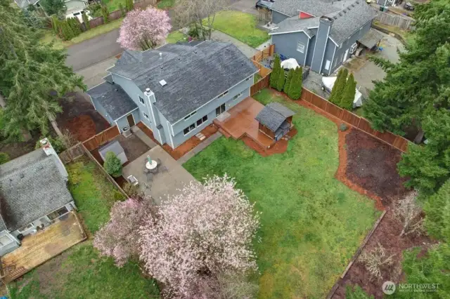 Back yard with patio and deck and gardening areas.