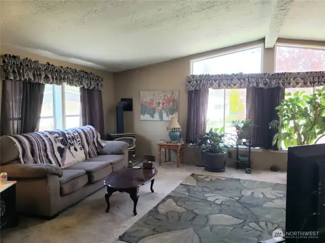 Picture of the Enormous Living Room with an Economical Free Standing Gas Stove to Heat the Whole Home.