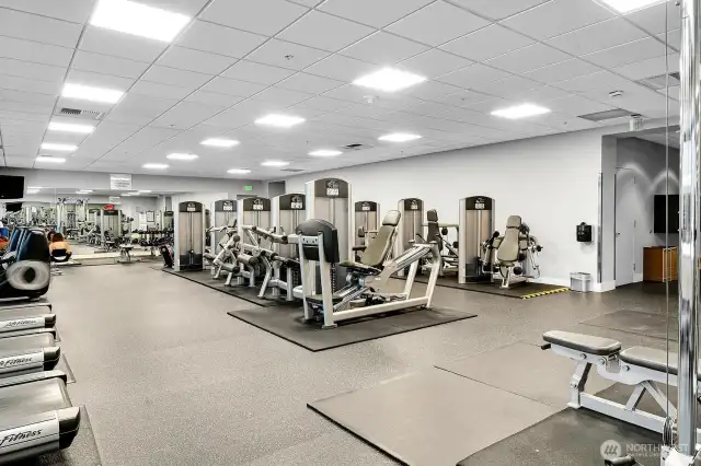 Well-equipped fitness center.