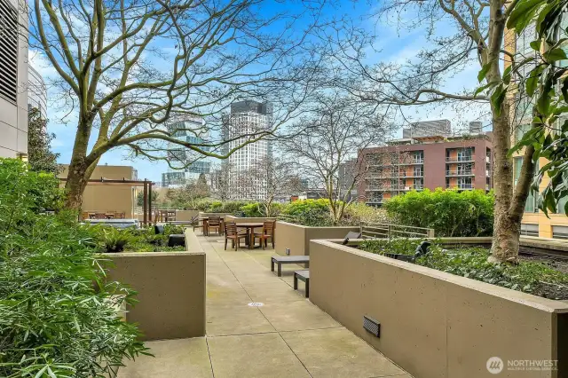 Enjoy treetop garden views from the community terrace.