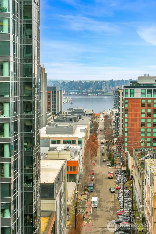 Your vista extends to Lake Union.