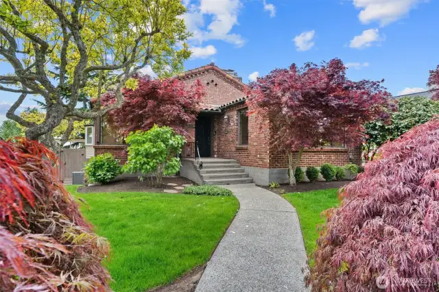 Front of home, nestled in Japanese Maples.
