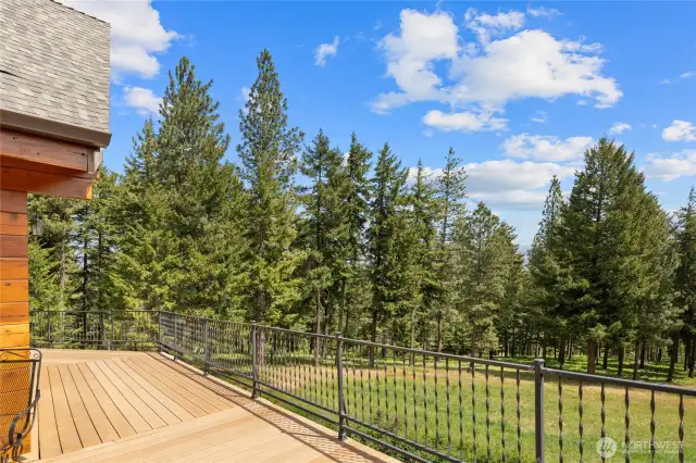 Trex deck on the main home overlooks the fire-wised property.