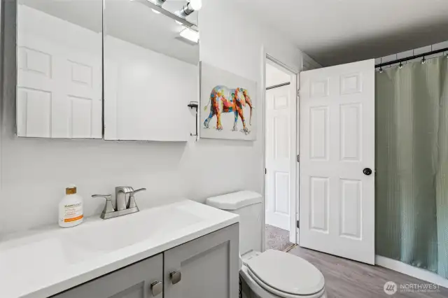 Primary bathroom.