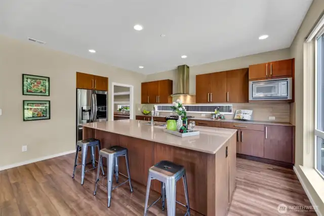 Chef's kitchen