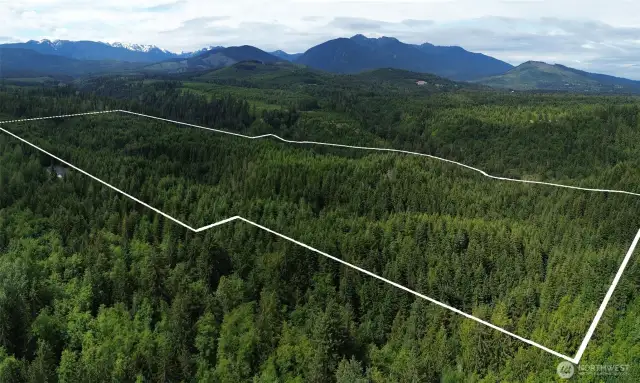 Approximate lot lines