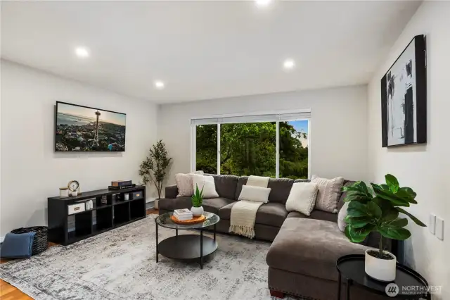 Lower Level Family Room