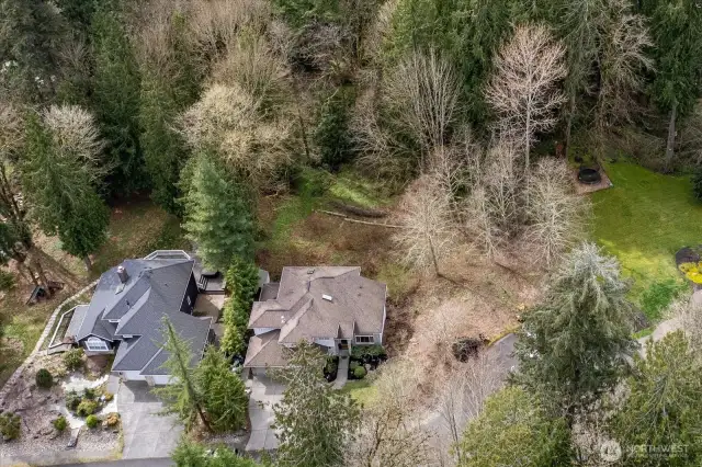 Property line goes back into the taller trees behind the home.
