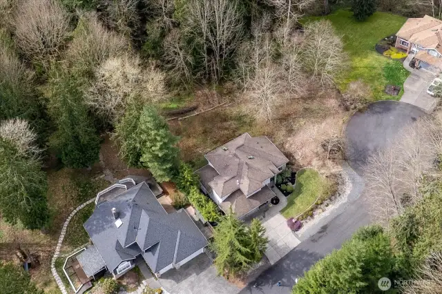 Property line goes back into the trees and to the right up to the neighbors newer grass.