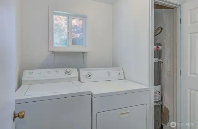 Laundry area and water tank. Light-filled room with window to the back yard.