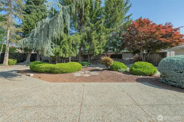 This massive patio is in great condition and surrounds a dirt-filled gunite swimming pool.