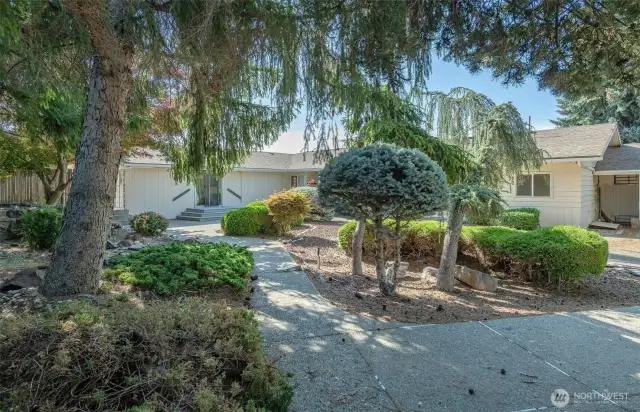 view of the home from the rear of the back yard