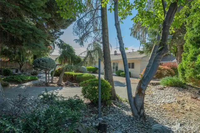 View of the house from a different corner of the back yard