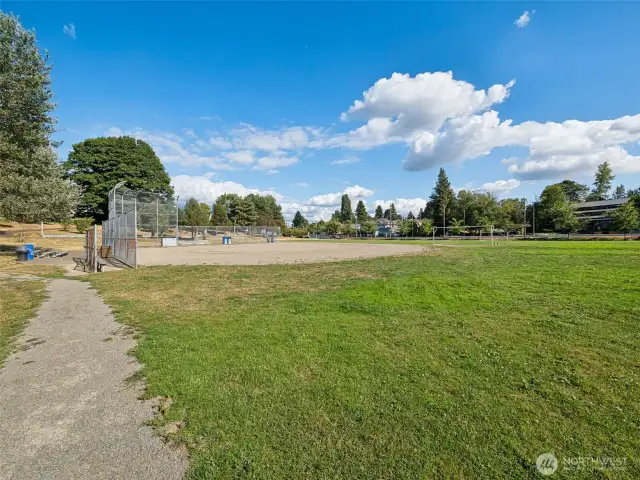 Neighborhood Athletic Fields