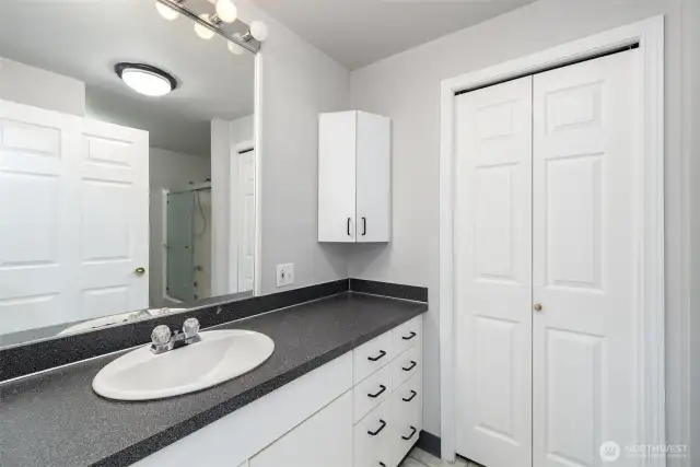 Basement Bathroom 1