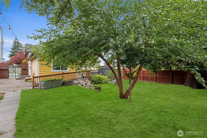Grass in backyard id currently recovering from TP, photo enhanced to show possibility.