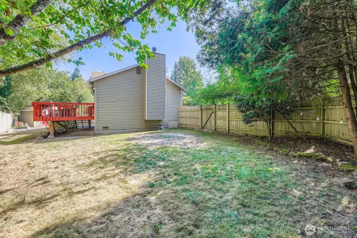 Big fenced yard that backs up to private greenbelt with fruit trees, outdoor garden shed