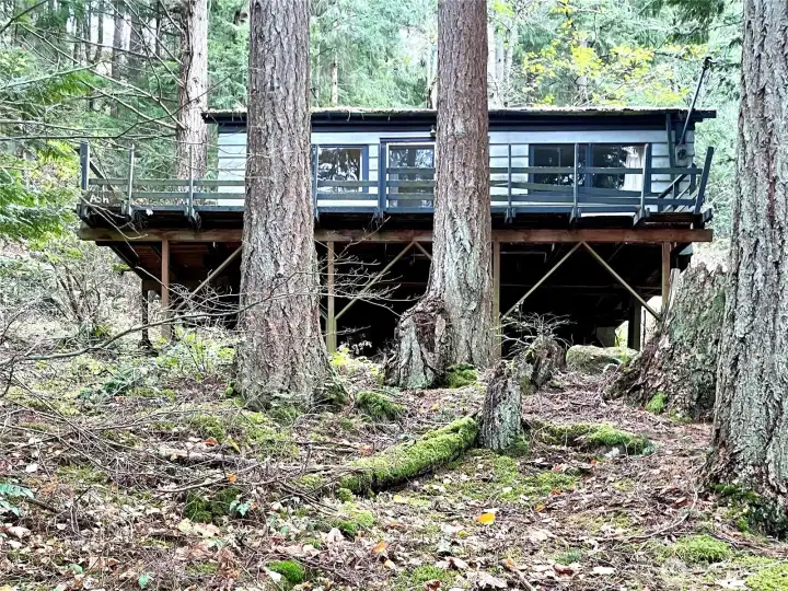 South side of cabin. Mostly private with limited visibility from Emerald Lake Way