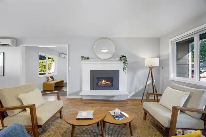 New electric fireplace insert.