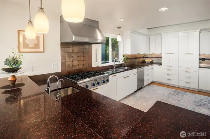 updated kitchen with top of the line appliances