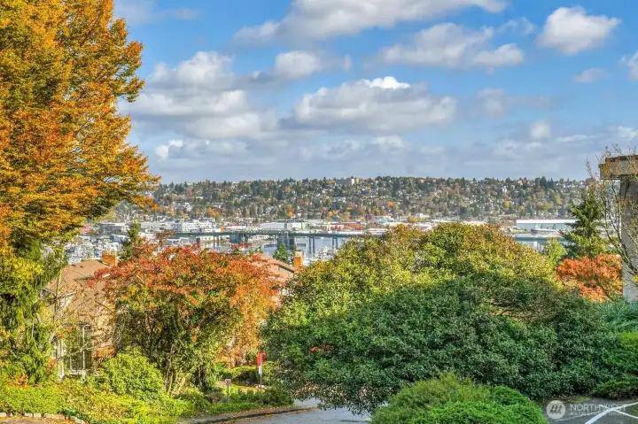 Lovely Views of the Ship Canal & Landscapes to the North from the Living Room, Dining Room & Deck.