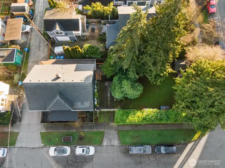 This aerial view shows the positioning of the house all the way on the left side of the corner lot, with plenty of open green yard to the right.