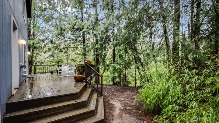 Beautiful Deck and Forest feel!