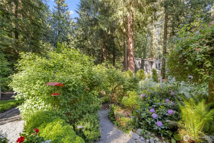 Garden paths invite quiet wandering through the landscape, with each turn offering another place to pause, think, or stroll with joyful furry companions. Flowering plants, ferns, and layered greenery bring color and life through the seasons, creating a backyard that feels thoughtful, peaceful, and full of small discoveries.