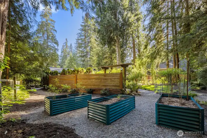 Raised garden beds await your special plantings. The one on the right contains dahlia bulbs, the middle one contains chives, and the one on the left holds blueberries. A privacy wall leads you down the lovely shaded path that goes back to the deck. To the right, follow the path the other way past the bird bath fountain and hydrangea bushes.